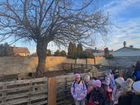 Sopronhorpácsi kirándulás